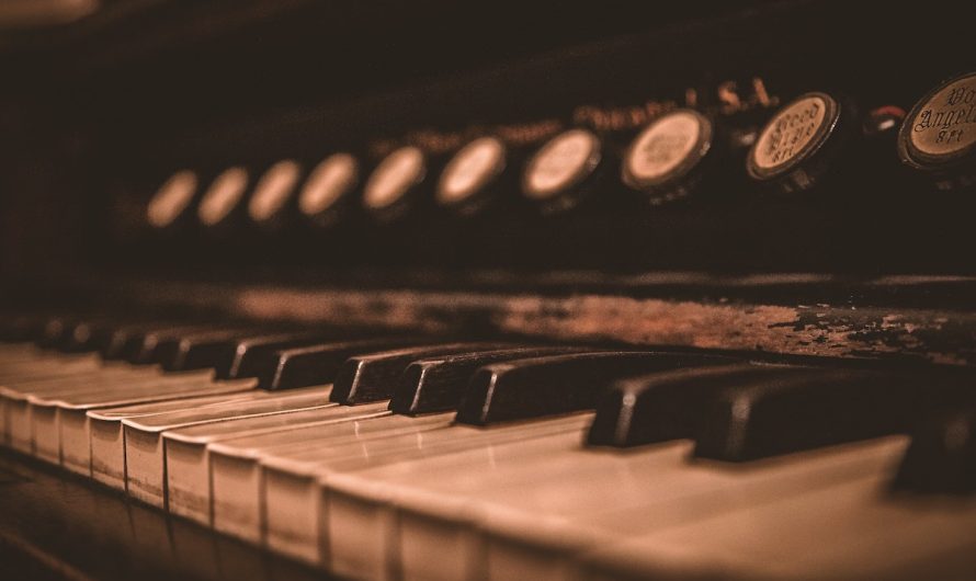 Song – Come Down From Your Tree